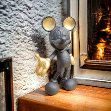 Load image into Gallery viewer, MICKEY IN THE HOUSE