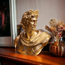 Load image into Gallery viewer, DAVID SCULPTURE