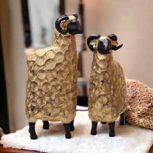 Load image into Gallery viewer, LUXE HORNED DUO