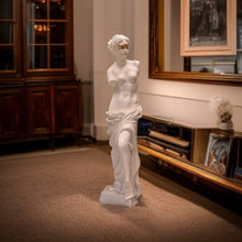 Load image into Gallery viewer, VICTORIA- BIG SIZE