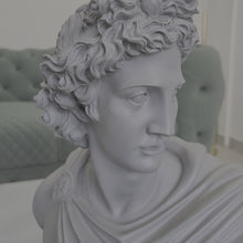 Load and play video in Gallery viewer, DAVID SCULPTURE