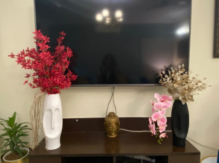 A Brief Guide on How to Decorate Homes