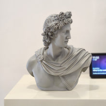 Load image into Gallery viewer, DAVID SCULPTURE
