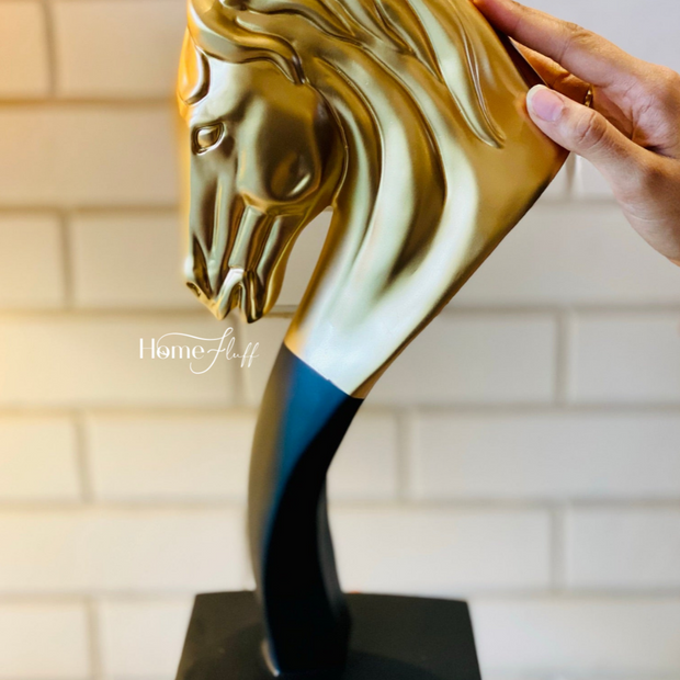 XL THE STATEMENT STALLION HORSE